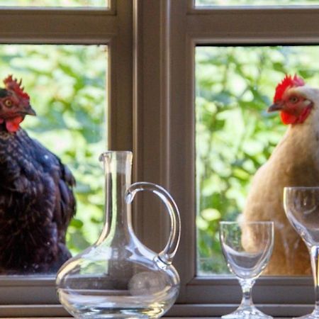 Hotel Lindenhof Chezartistes Loose Zewnętrze zdjęcie