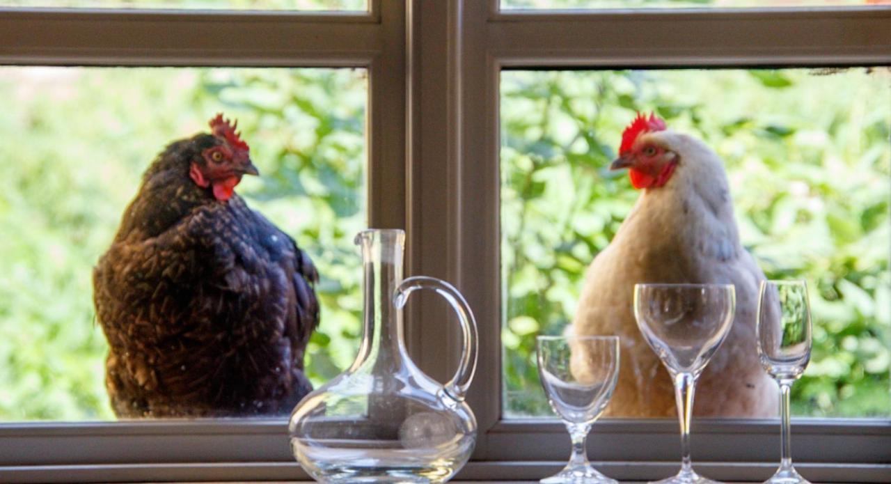 Hotel Lindenhof Chezartistes Loose Zewnętrze zdjęcie