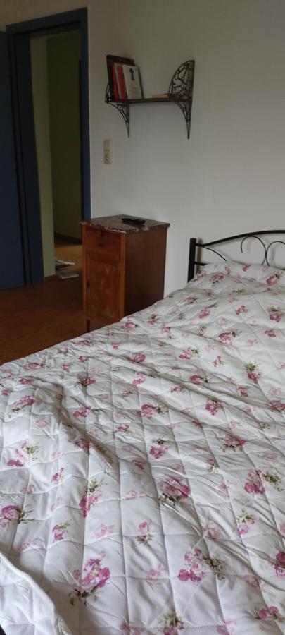 Hotel Lindenhof Chezartistes Loose Zewnętrze zdjęcie